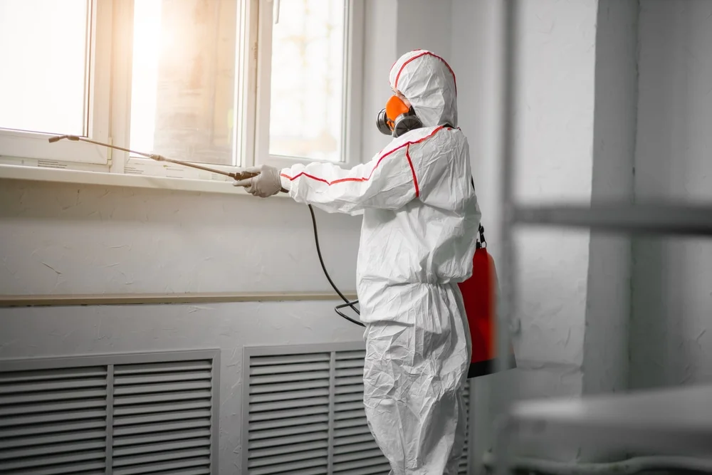 Professional mold remediation services in Farmersville, IL